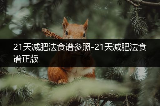 21天减肥法食谱参照-21天减肥法食谱正版