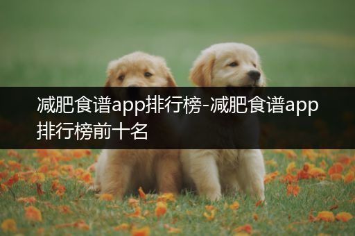 减肥食谱app排行榜-减肥食谱app排行榜前十名