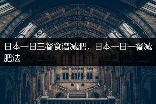 日本一日三餐食谱减肥，日本一日一餐减肥法